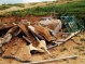 Israel demolishes tents in northern Jordan Valley