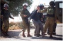 Breaking: IDF detains 12 internationals at Nabi Saleh